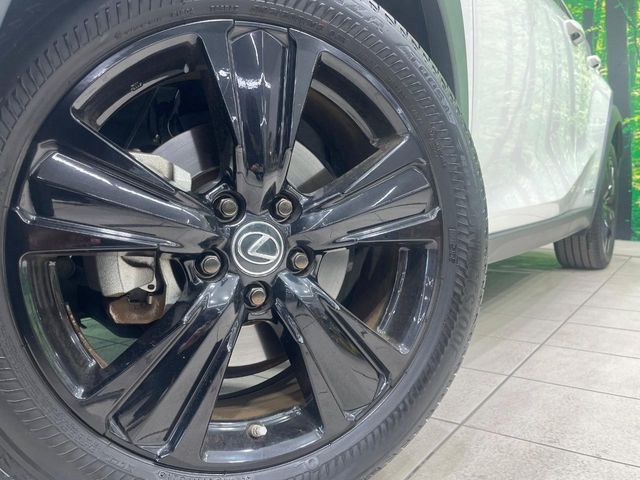 TOYOTA LEXUS UX250H 2021 Image 31