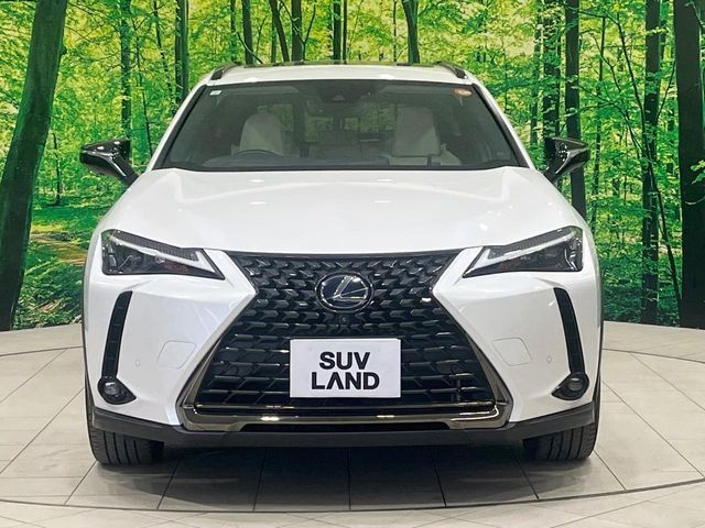 TOYOTA LEXUS UX250H 2021 Image 31