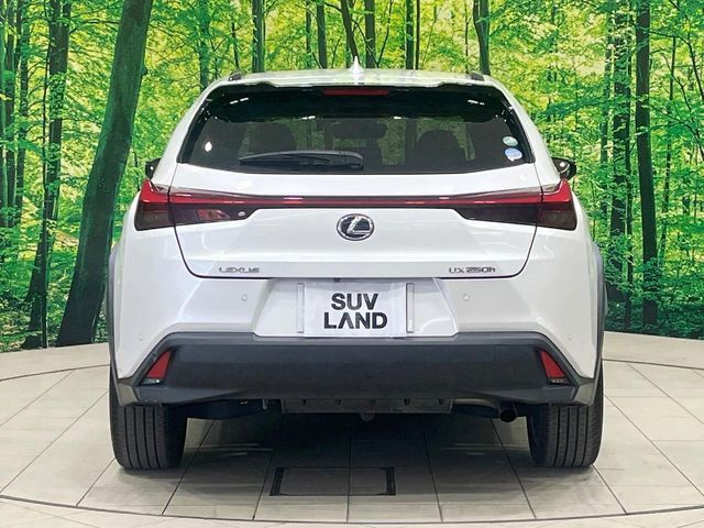 TOYOTA LEXUS UX250H 2021 Image 31