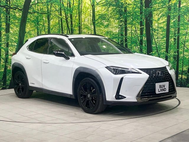 TOYOTA LEXUS UX250H 2021 Image 31