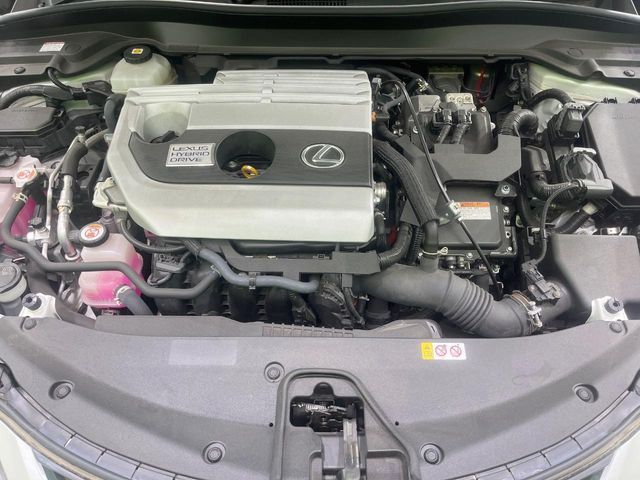 TOYOTA LEXUS UX250H 2021 Image 31