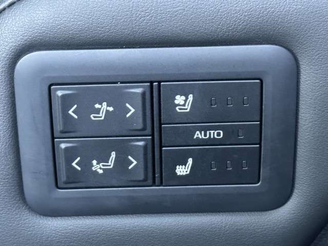 TOYOTA ALPHARD HYBRID 2025 Image 31