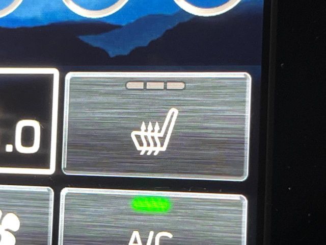 SUBARU FORESTER 2025 Image 31