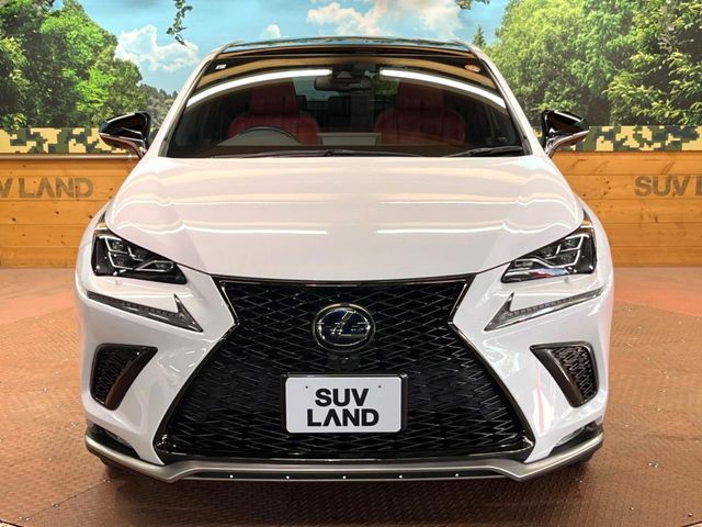 TOYOTA LEXUS NX300H 2019 Image 31