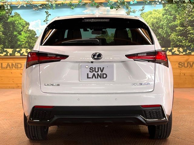 TOYOTA LEXUS NX300H 2019 Image 31