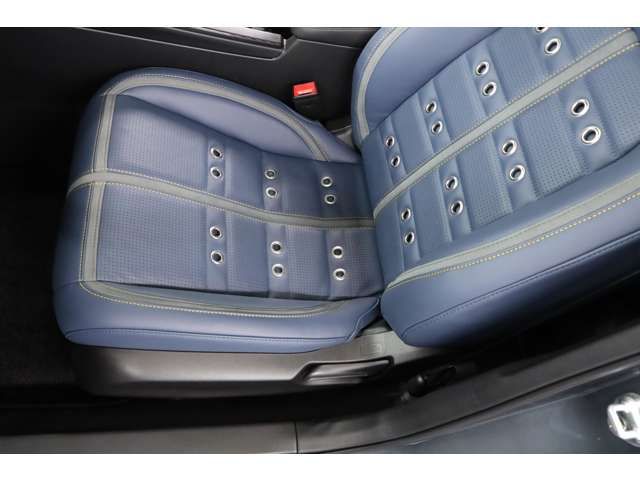 MITSUOKA M55 2024 Image 31