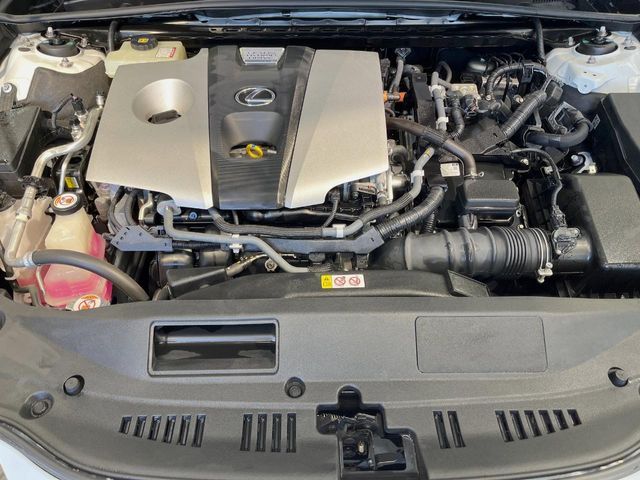 TOYOTA LEXUS ES300H 2019 Image 31