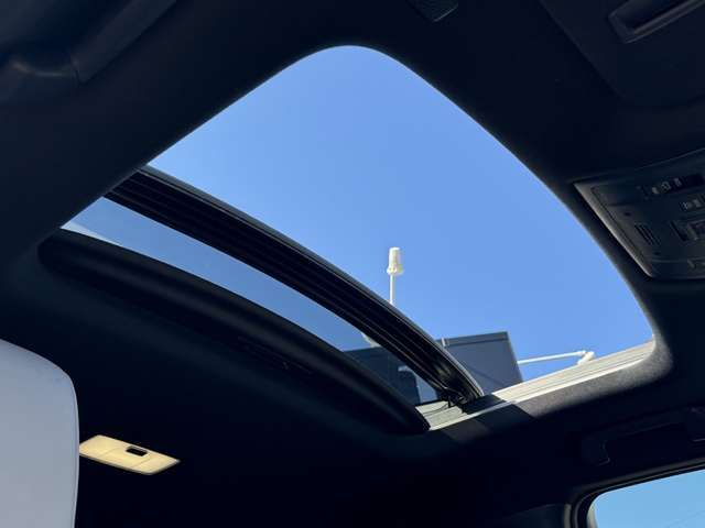 TOYOTA LEXUS UX250H 2021 Image 31