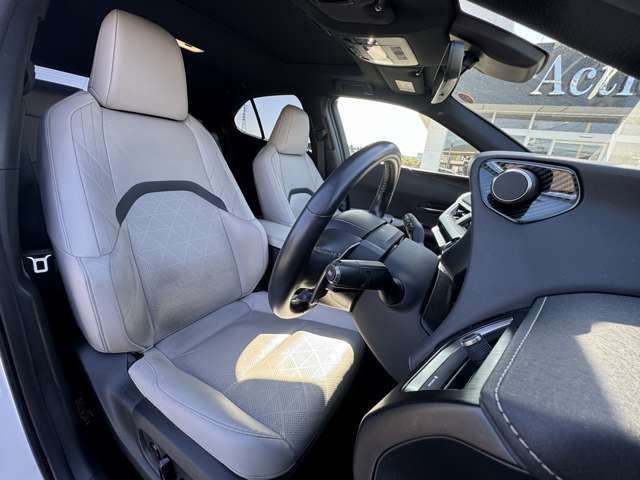 TOYOTA LEXUS UX250H 2021 Image 31