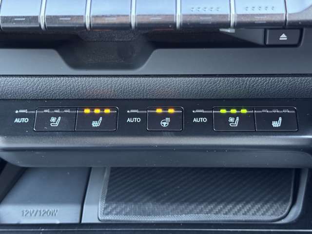 TOYOTA LEXUS UX250H 2021 Image 31