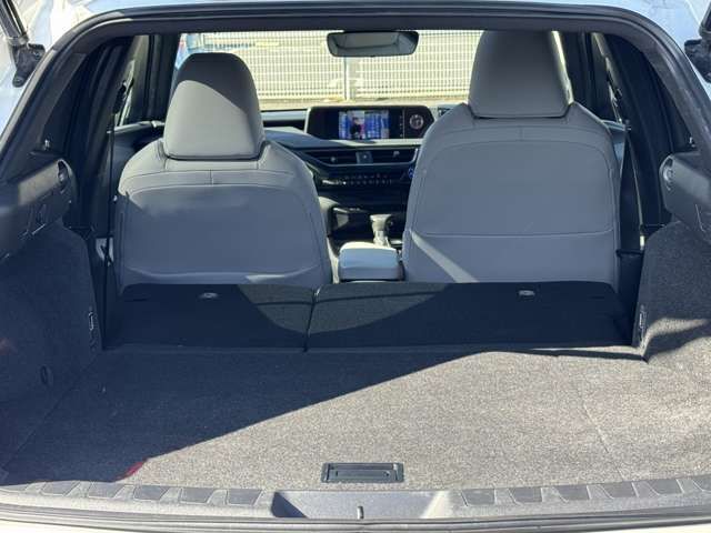 TOYOTA LEXUS UX250H 2021 Image 31