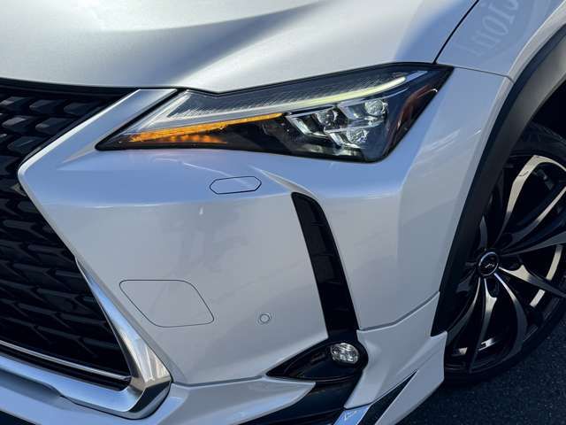 TOYOTA LEXUS UX250H 2021 Image 31