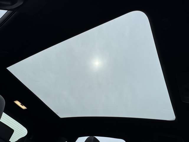 TOYOTA LEXUS NX300H AWD 2019 Image 31