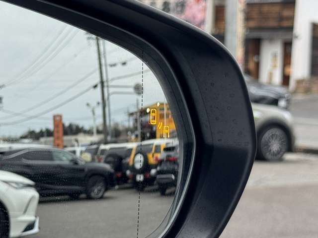 TOYOTA LEXUS NX300H AWD 2019 Image 31