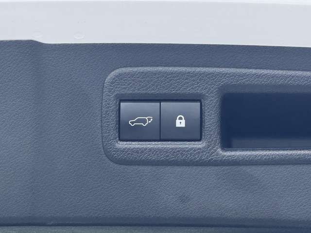 TOYOTA LEXUS NX300H AWD 2019 Image 31