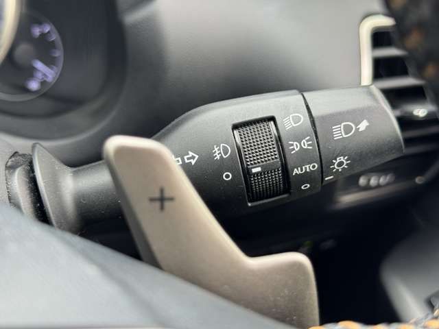 TOYOTA LEXUS NX300H AWD 2019 Image 31