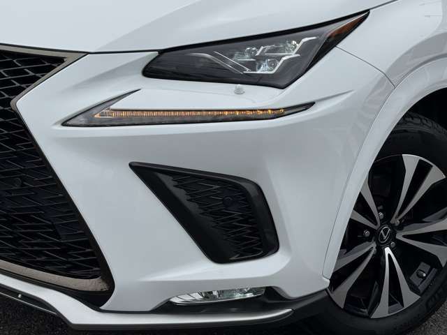TOYOTA LEXUS NX300H AWD 2019 Image 31