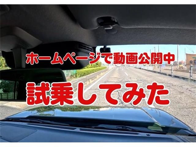 SUZUKI HUSTLER 2024 Image 31