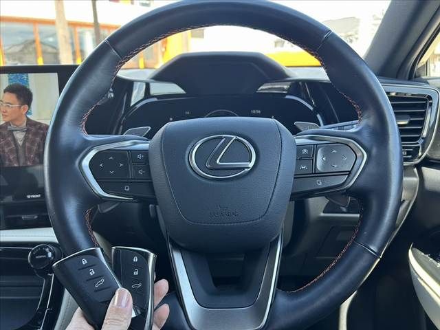 TOYOTA LEXUS NX250 2023 Image 31