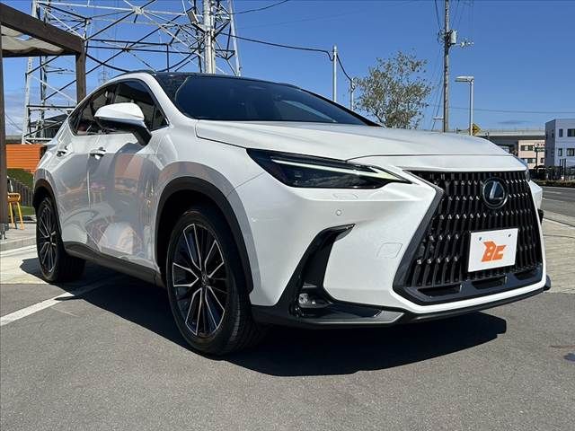 TOYOTA LEXUS NX250 2023 Image 31