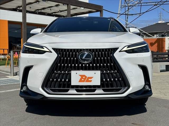 TOYOTA LEXUS NX250 2023 Image 31