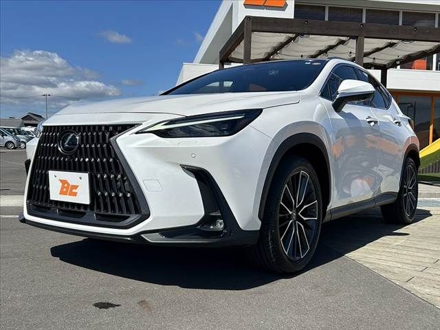 TOYOTA LEXUS NX250 2023 Image 31
