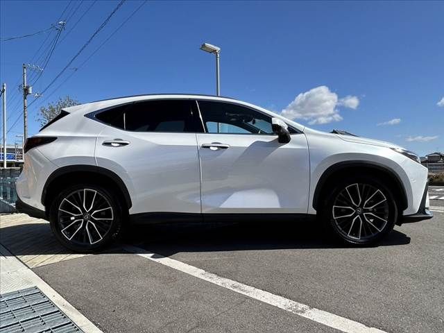 TOYOTA LEXUS NX250 2023 Image 31