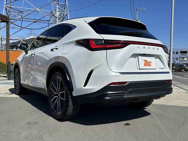 TOYOTA LEXUS NX250 2023 Image 31