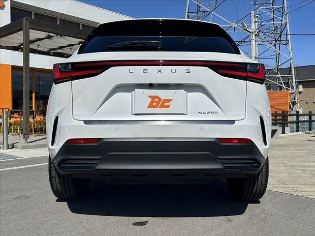 TOYOTA LEXUS NX250 2023 Image 31