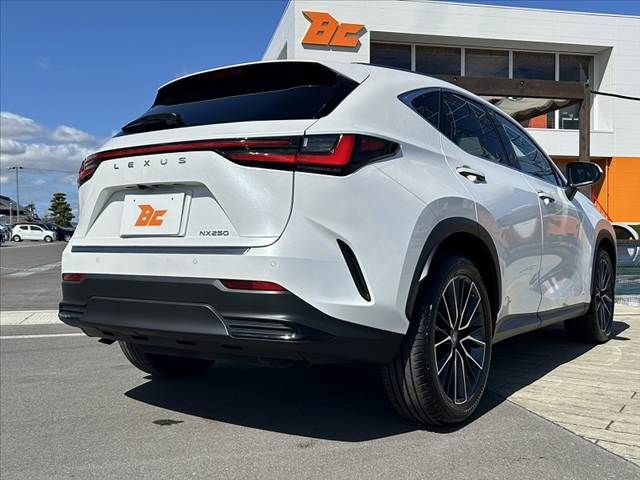 TOYOTA LEXUS NX250 2023 Image 31