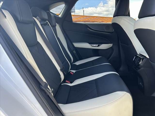 TOYOTA LEXUS NX250 2023 Image 31