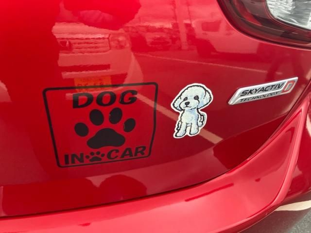 MAZDA DEMIO 2015 Image 31