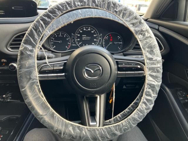 MAZDA CX-30 2022 Image 31