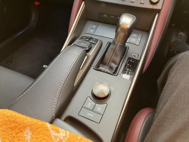 TOYOTA LEXUS IS300H 2019 Image 31