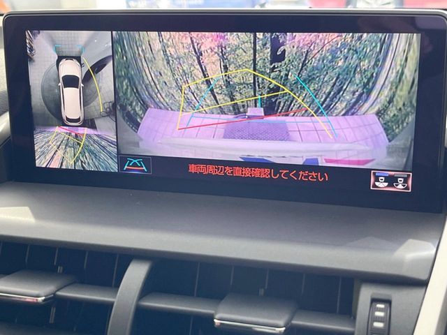 TOYOTA LEXUS NX300 2017 Image 31