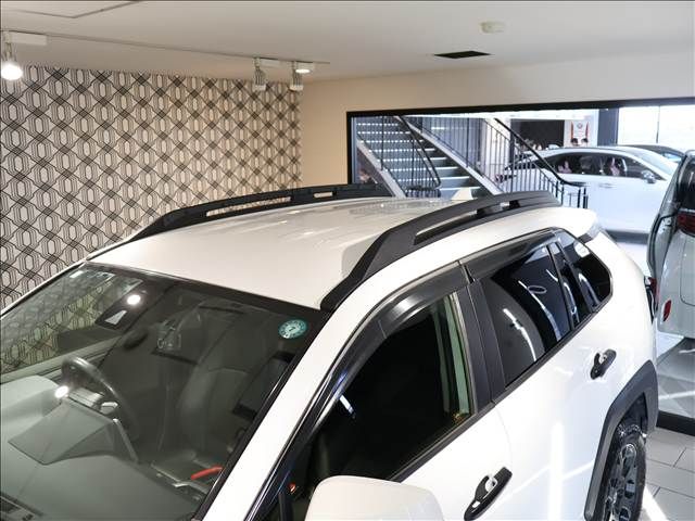 TOYOTA RAV4 4WD 2021 Image 31