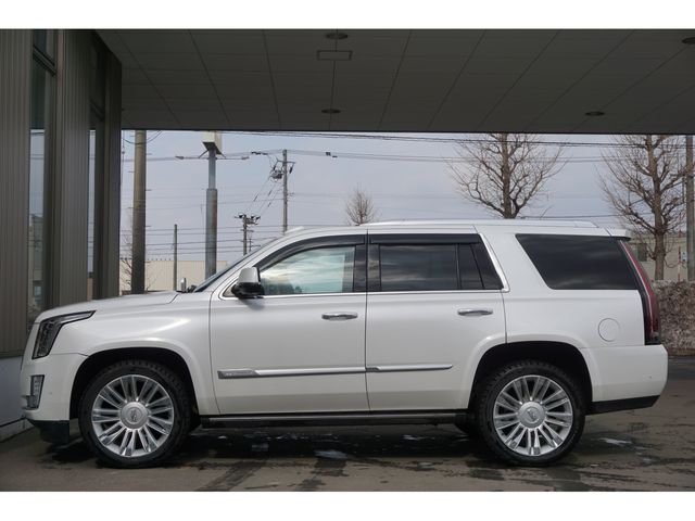 CADILLAC ESCALADE 2020 Image 31