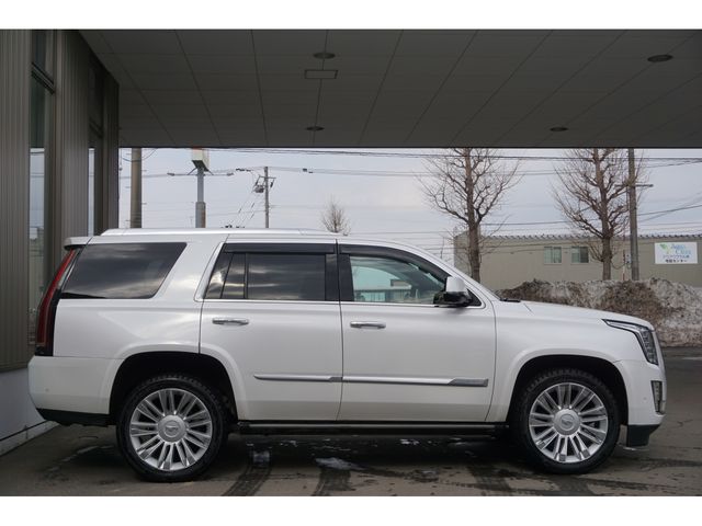 CADILLAC ESCALADE 2020 Image 31