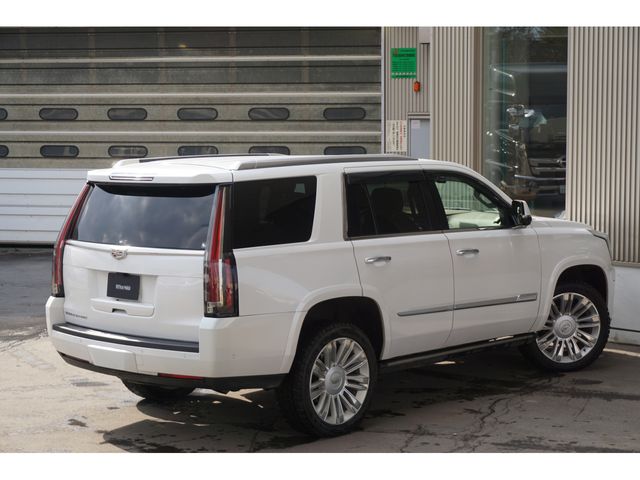 CADILLAC ESCALADE 2020 Image 31