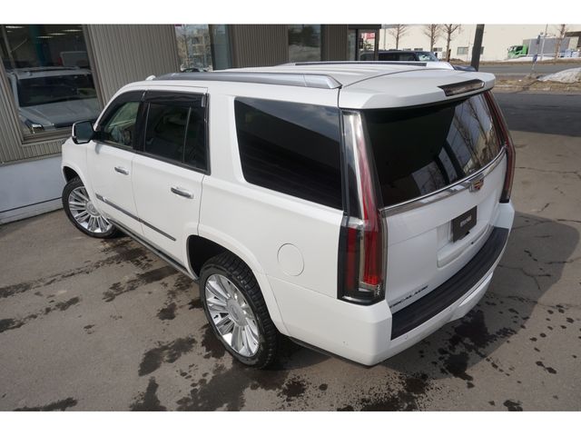 CADILLAC ESCALADE 2020 Image 31