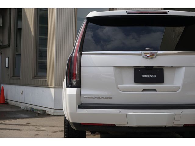 CADILLAC ESCALADE 2020 Image 31