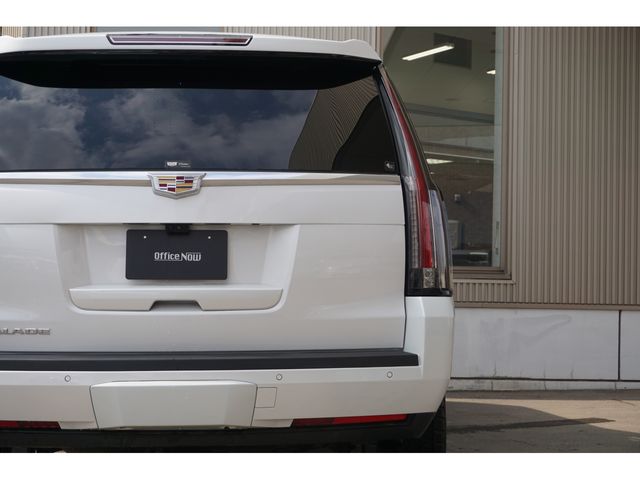 CADILLAC ESCALADE 2020 Image 31