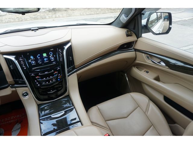 CADILLAC ESCALADE 2020 Image 31