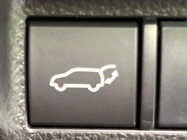 TOYOTA RAV4 HYBRID 4WD 2020 Image 31