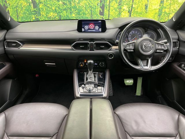 MAZDA CX-8 2017 Image 31