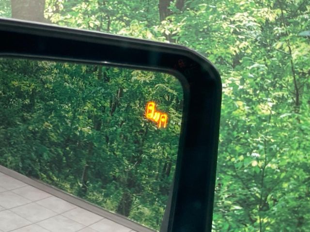 TOYOTA LANDCRUISER 250 2024 Image 31