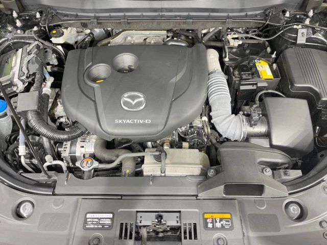 MAZDA CX-8 2023 Image 31