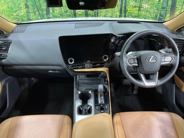 TOYOTA LEXUS NX250 2023 Image 31