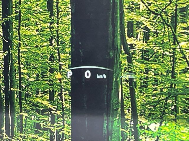 TOYOTA LEXUS NX250 2023 Image 31