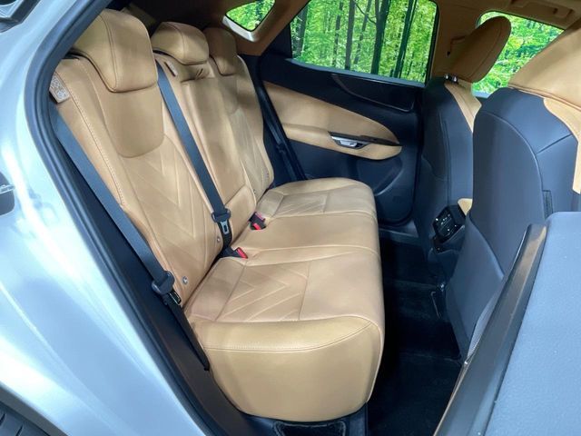 TOYOTA LEXUS NX250 2023 Image 31